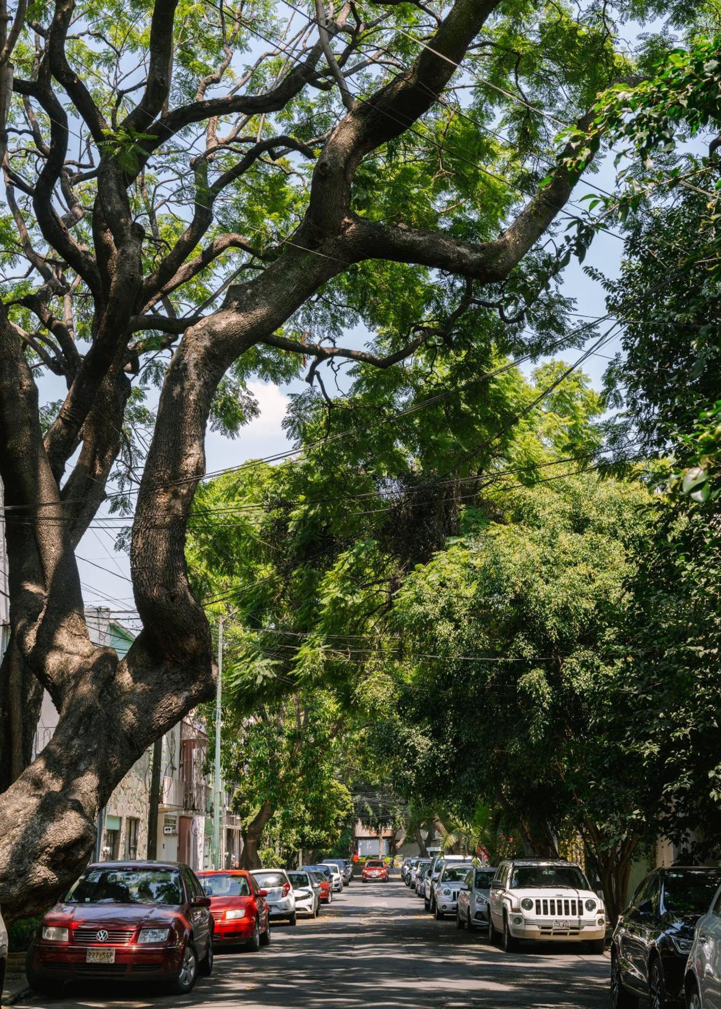 Sonder Miravalle Мексико Сити Екстериор снимка